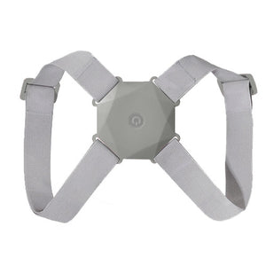 Induction vibration posture corrector